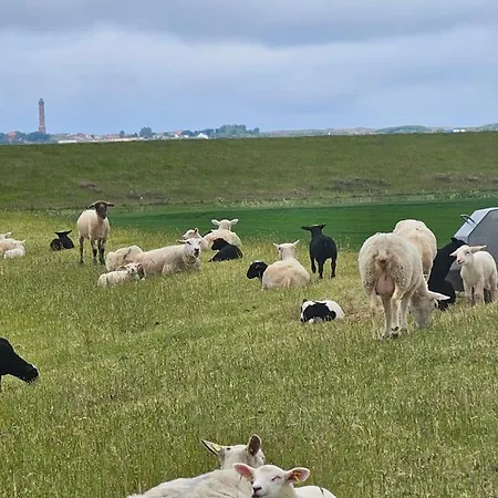 別荘 Friesenkate Backbord *